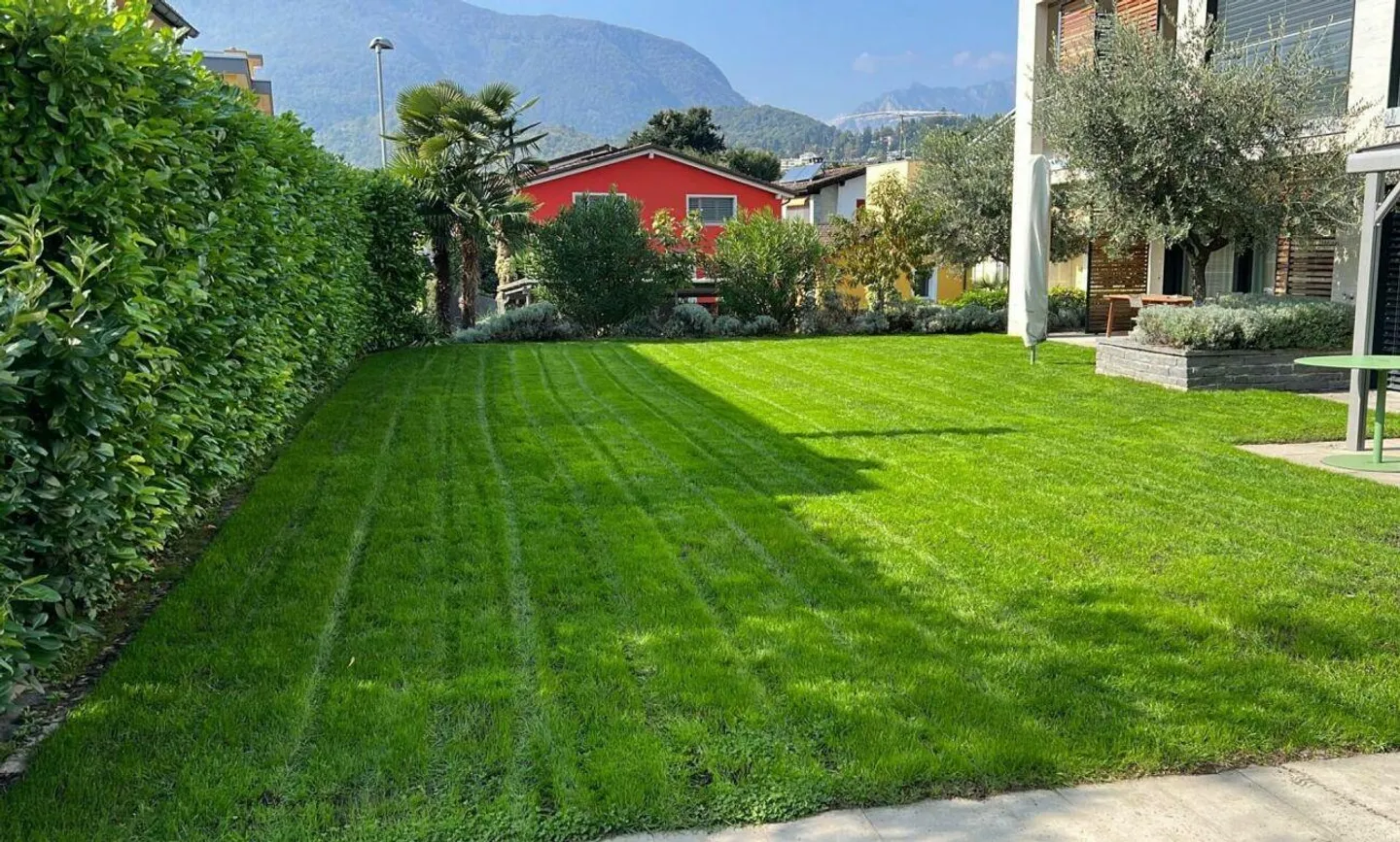 Ascona - Residenza Bella Vita - Photo 7 of 7