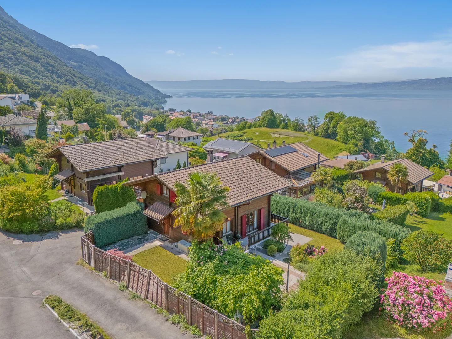 Vue sur le lac Léman, tranquillité absolue - Photo 15 sur 19