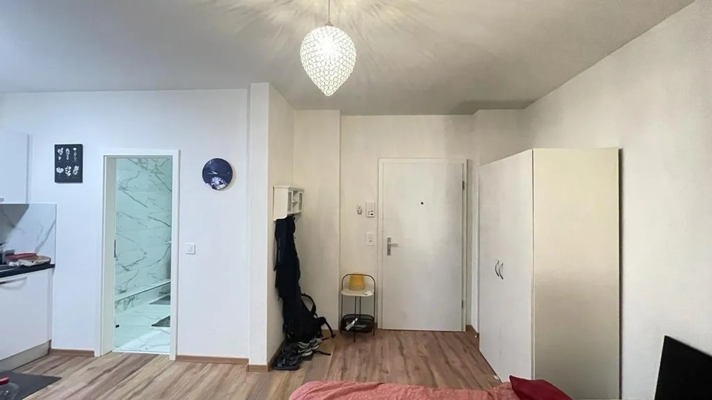 Studi completamente arredati nel cuore di Zurigo Zona 10 (S1) - Foto 4 di 11