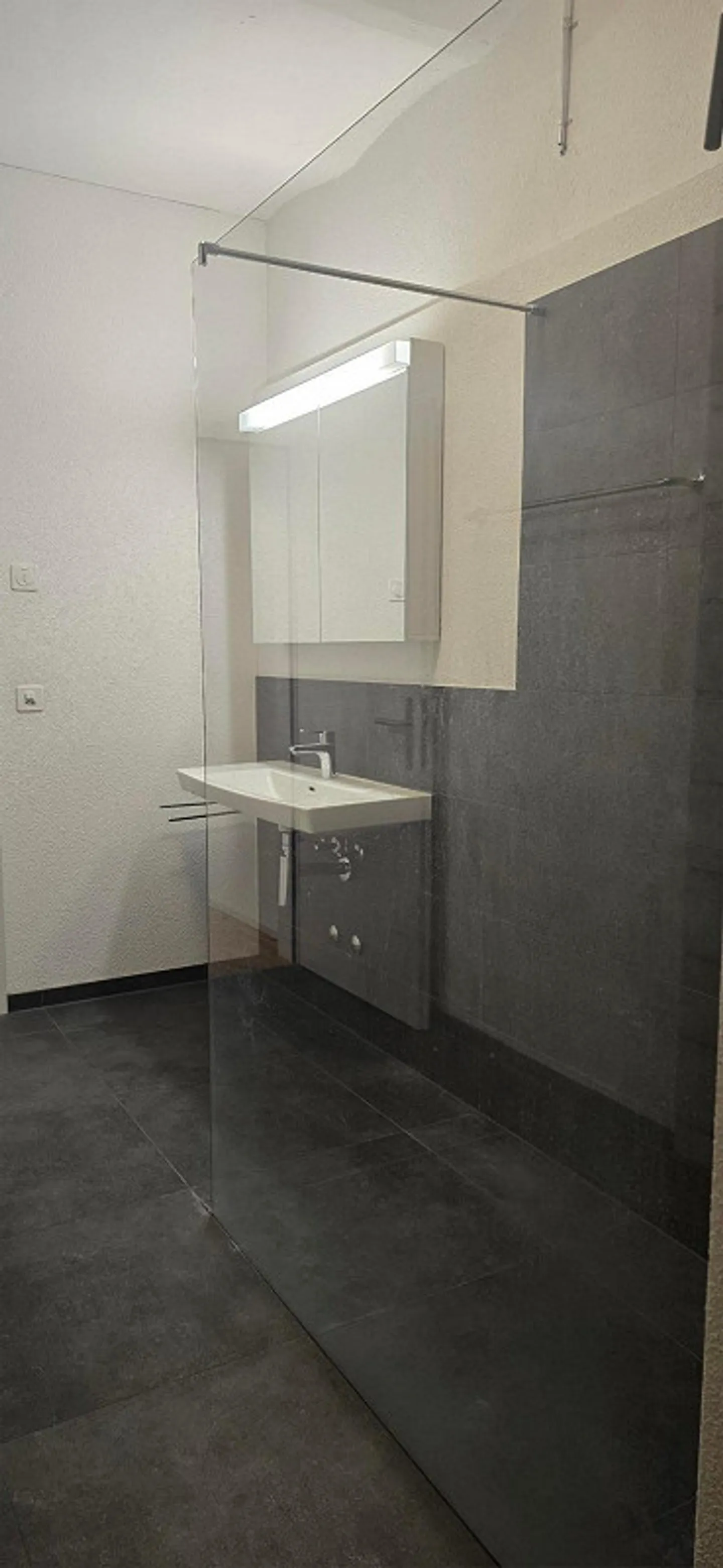 Loft unico ed esclusivo nel cuore di Laupen - Foto 3 di 13