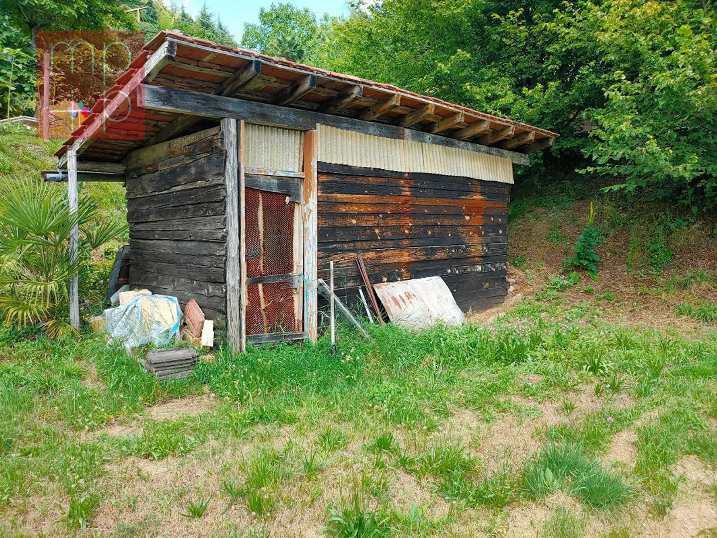 Land for construction - Neggio - Photo 7 of 8