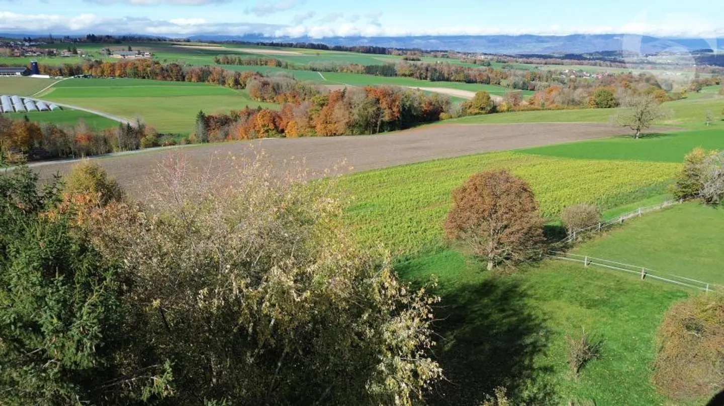 Sale on plans in Rueyres: 2 villas 6.5 pcs of 150 m2 living space with a nice view of the valley, 1 km from the Bercher LEB station - Photo 5 of 7