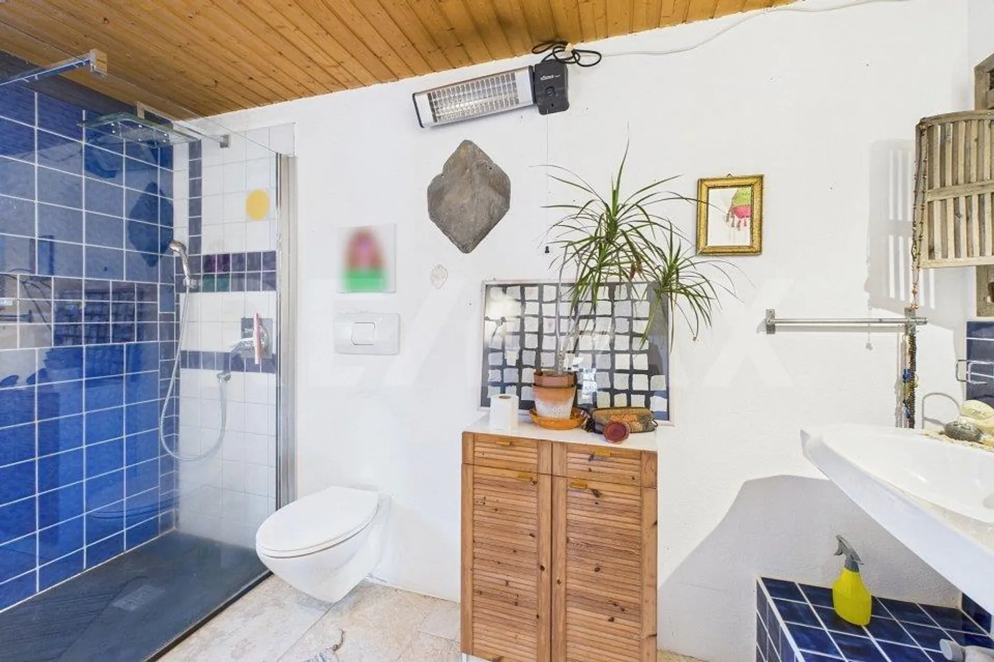 Two magnificent houses on a property with garden and forest - Photo 10 of 13