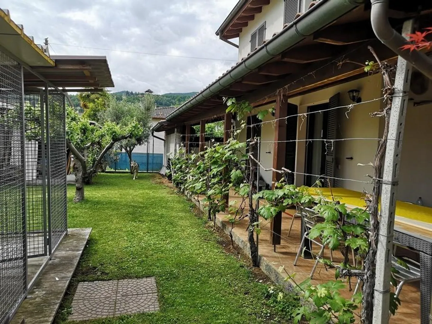 Large Detached House 5.5 with Garden - Photo 8 of 13