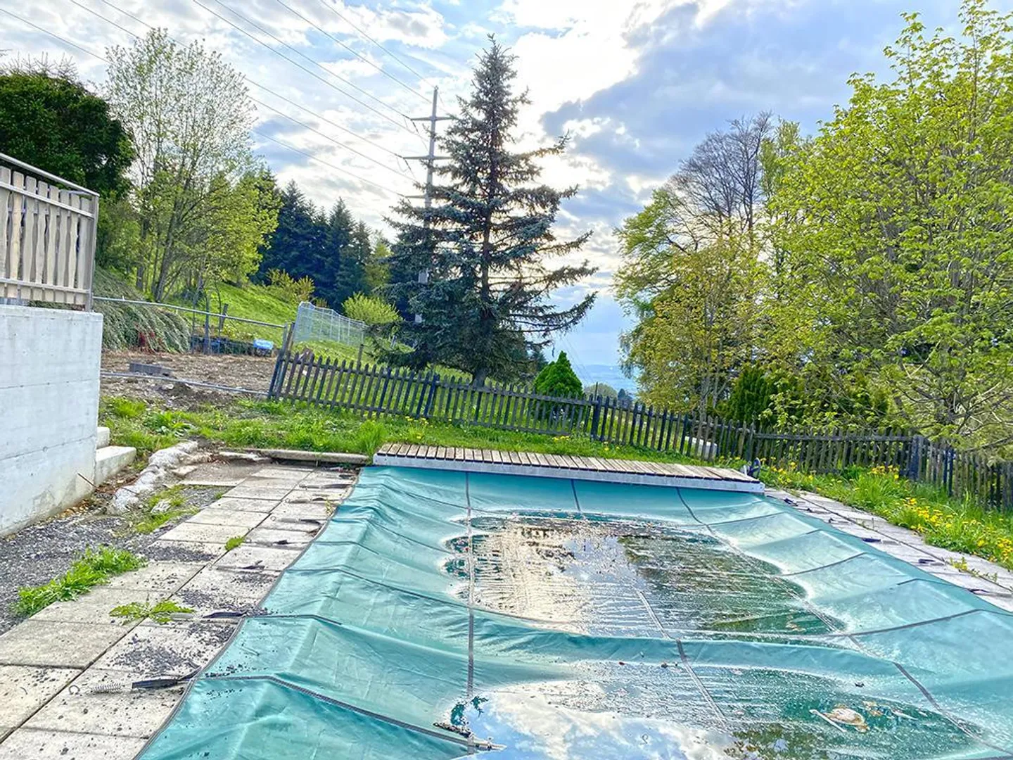 LES PACCOTS - APPARTAMENTO INCANTEVOLE - 2,5 LOCALI - Foto 5 di 6