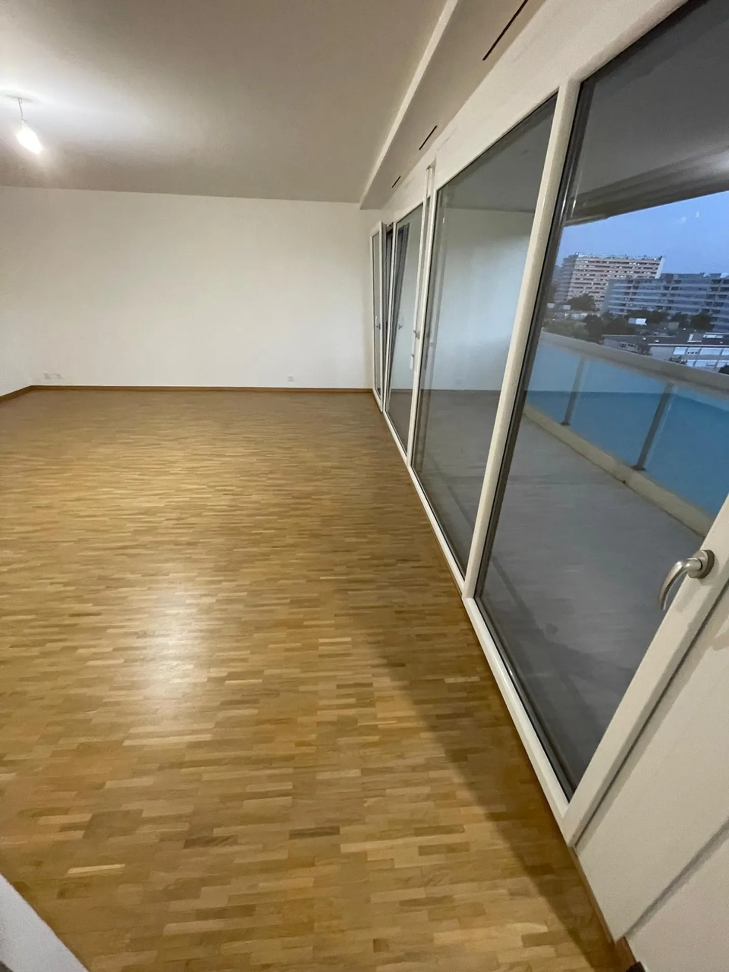 Appartamento di 5 stanze con terrazza e vista libera – Onex - Foto 4 di 5