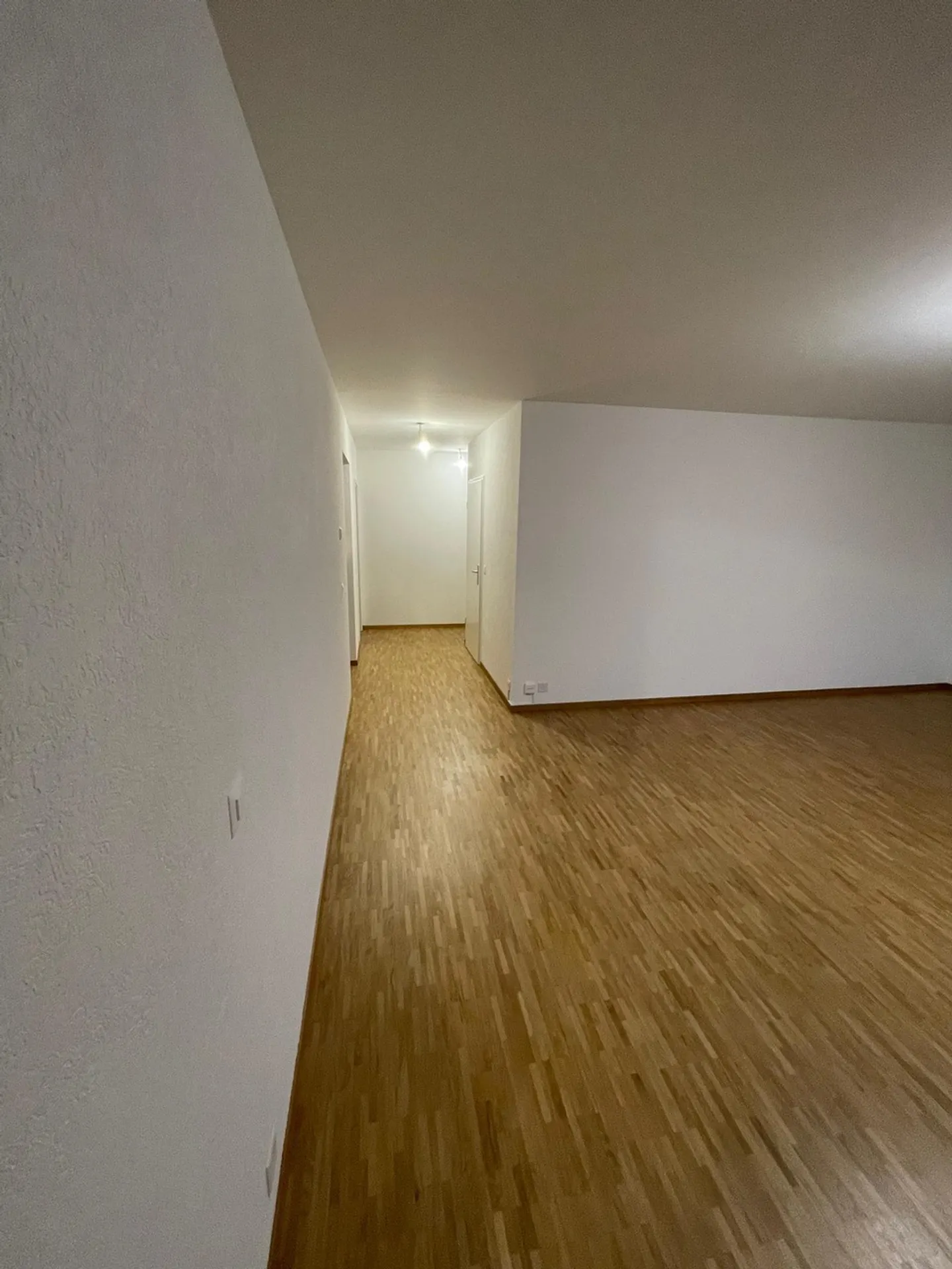 Appartamento di 5 stanze con terrazza e vista libera – Onex - Foto 5 di 5