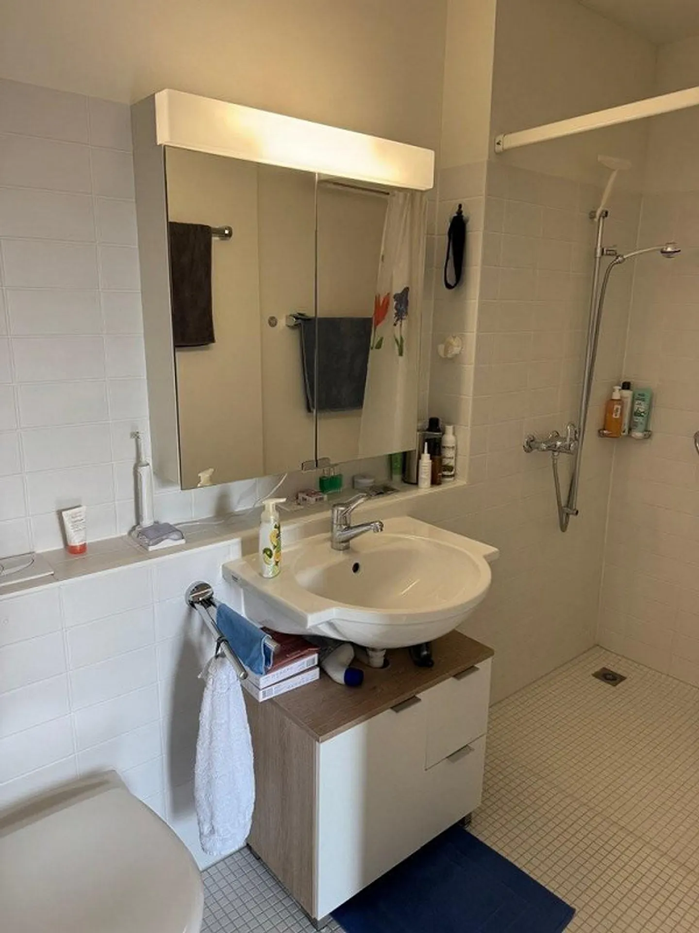 Charming 2-room studio with panoramic lake view in Meilen for rent - Photo 8 of 9