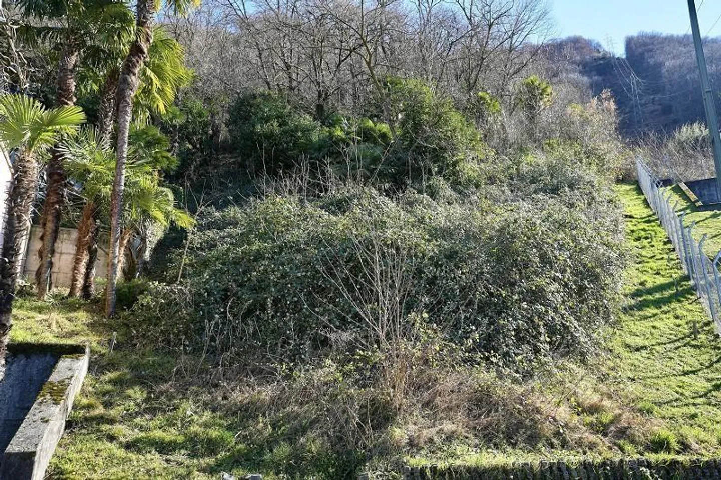 Terrain de 540 m2 et 1578 m2 de forêt avec vue panoramique sur le lac / terre... - Photo 7 sur 11