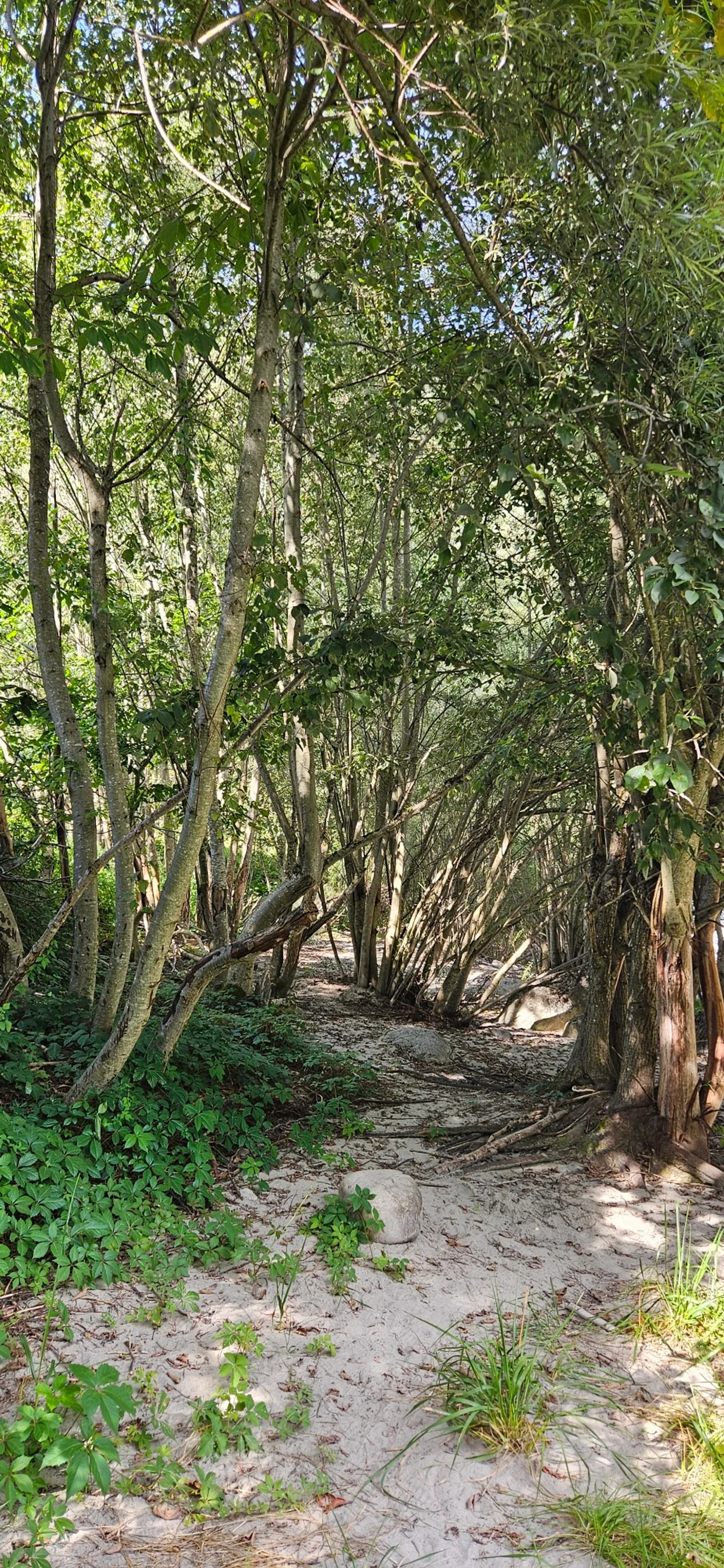 Case unifamiliari in stile chalet - Foto 23 di 29