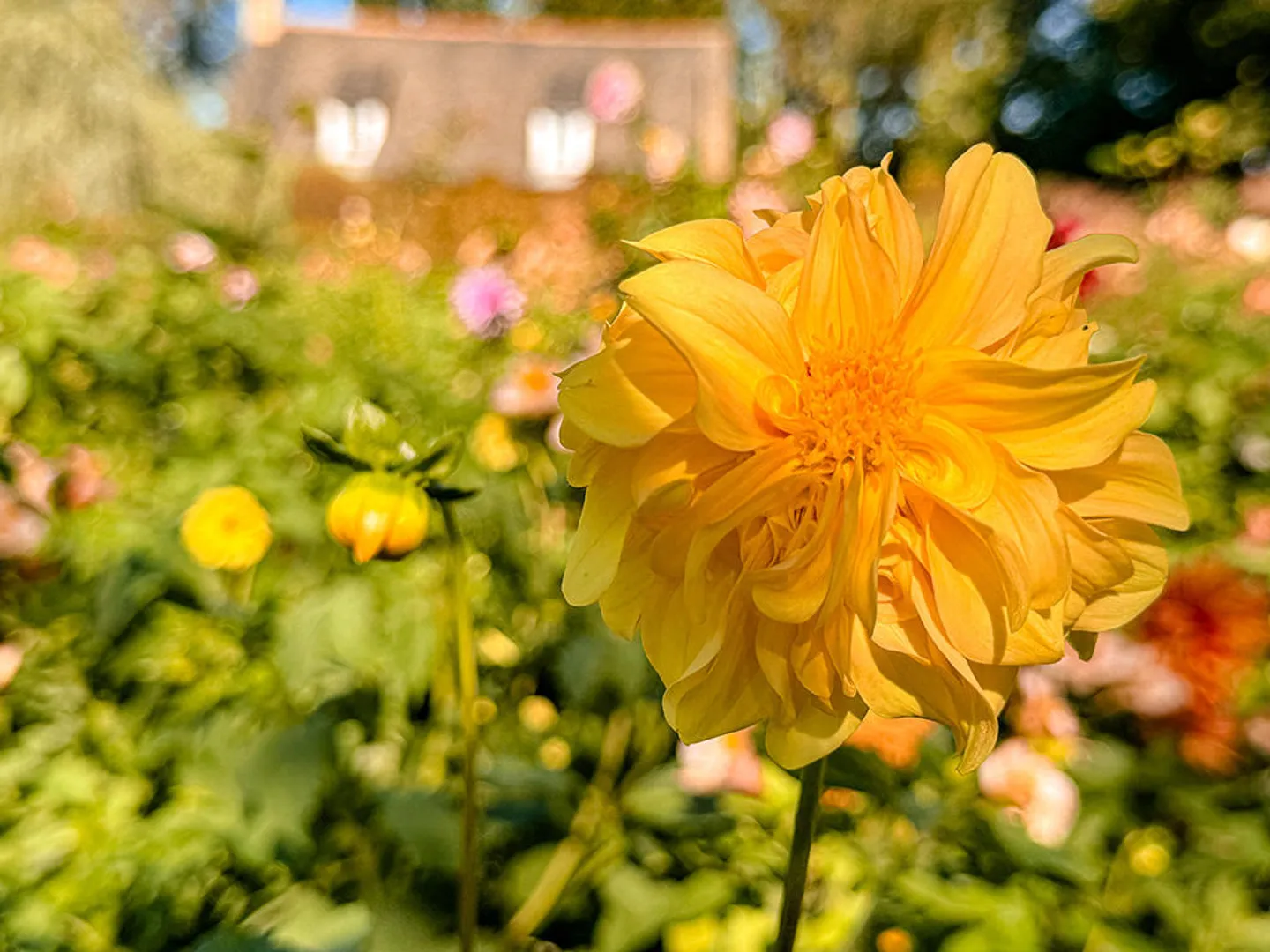 Villa 5.5 rooms - Photo 2 of 3