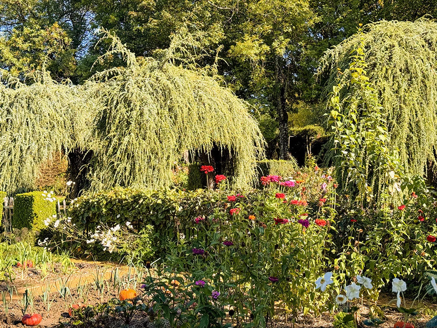 Villa 5.5 rooms - Photo 3 of 3