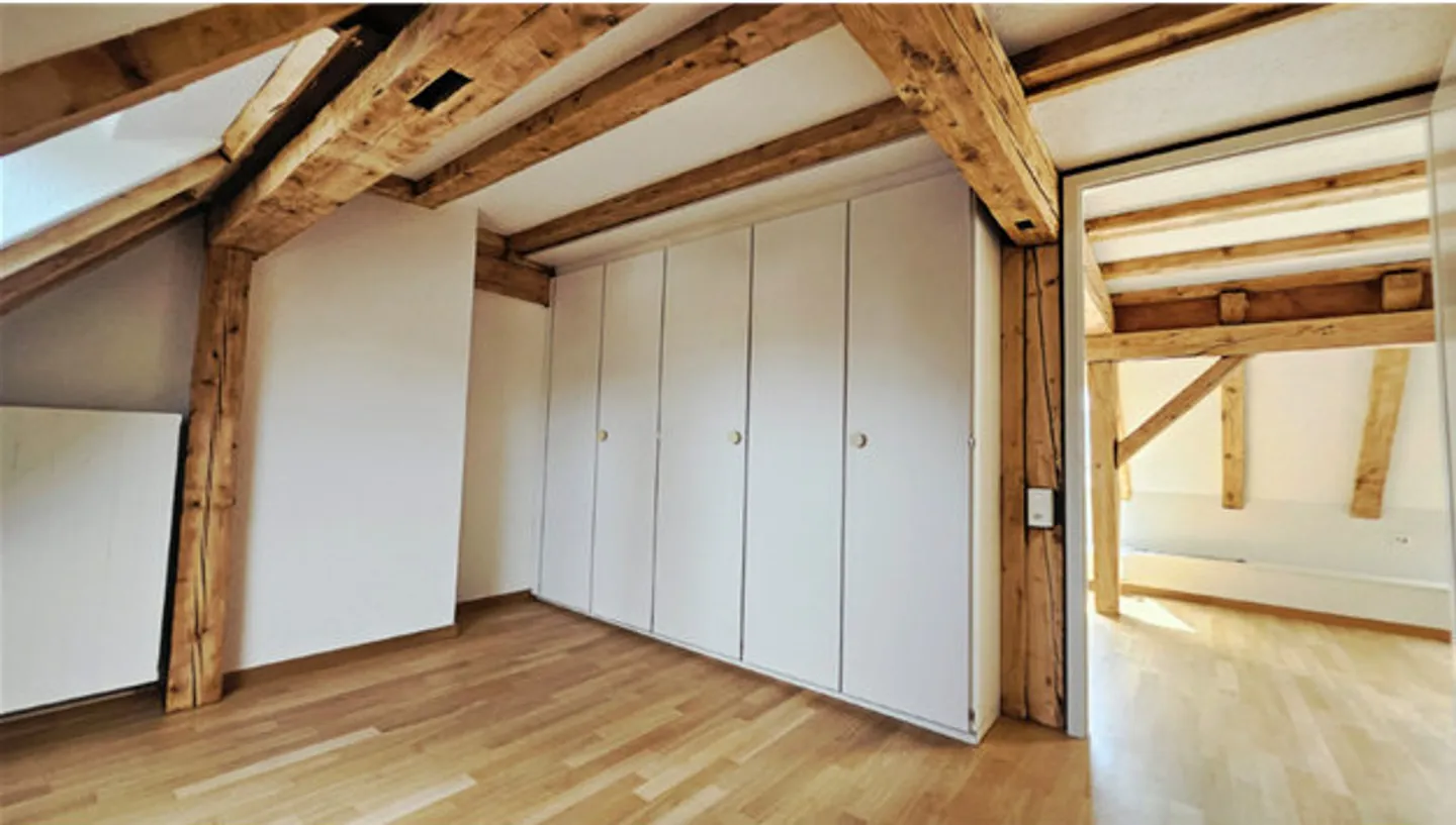 Incantevole appartamento cittadino con 2 camere e terrazza sul tetto! - Foto 3 di 6