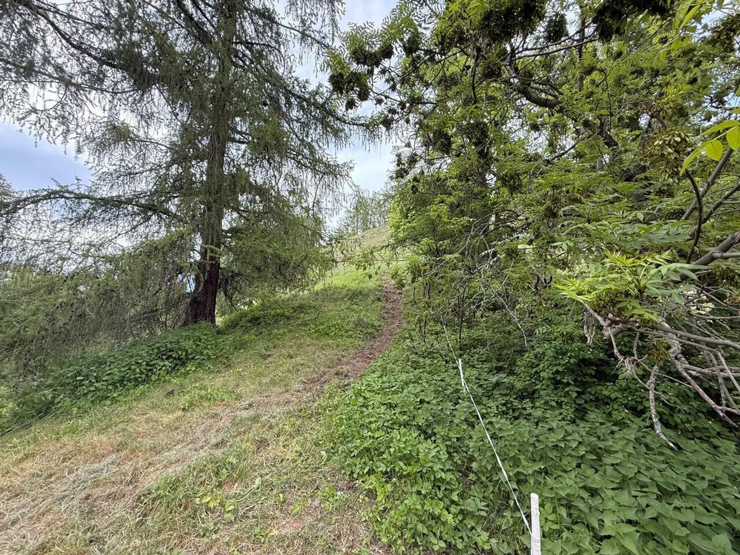 Set of 2 beautiful plots in a quiet area - Photo 4 of 4