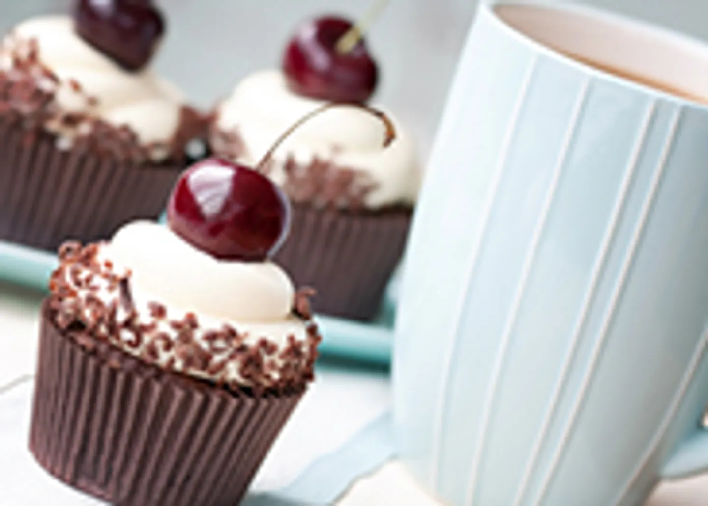 Espace Commercial Privilégié - Photo 1 sur 1