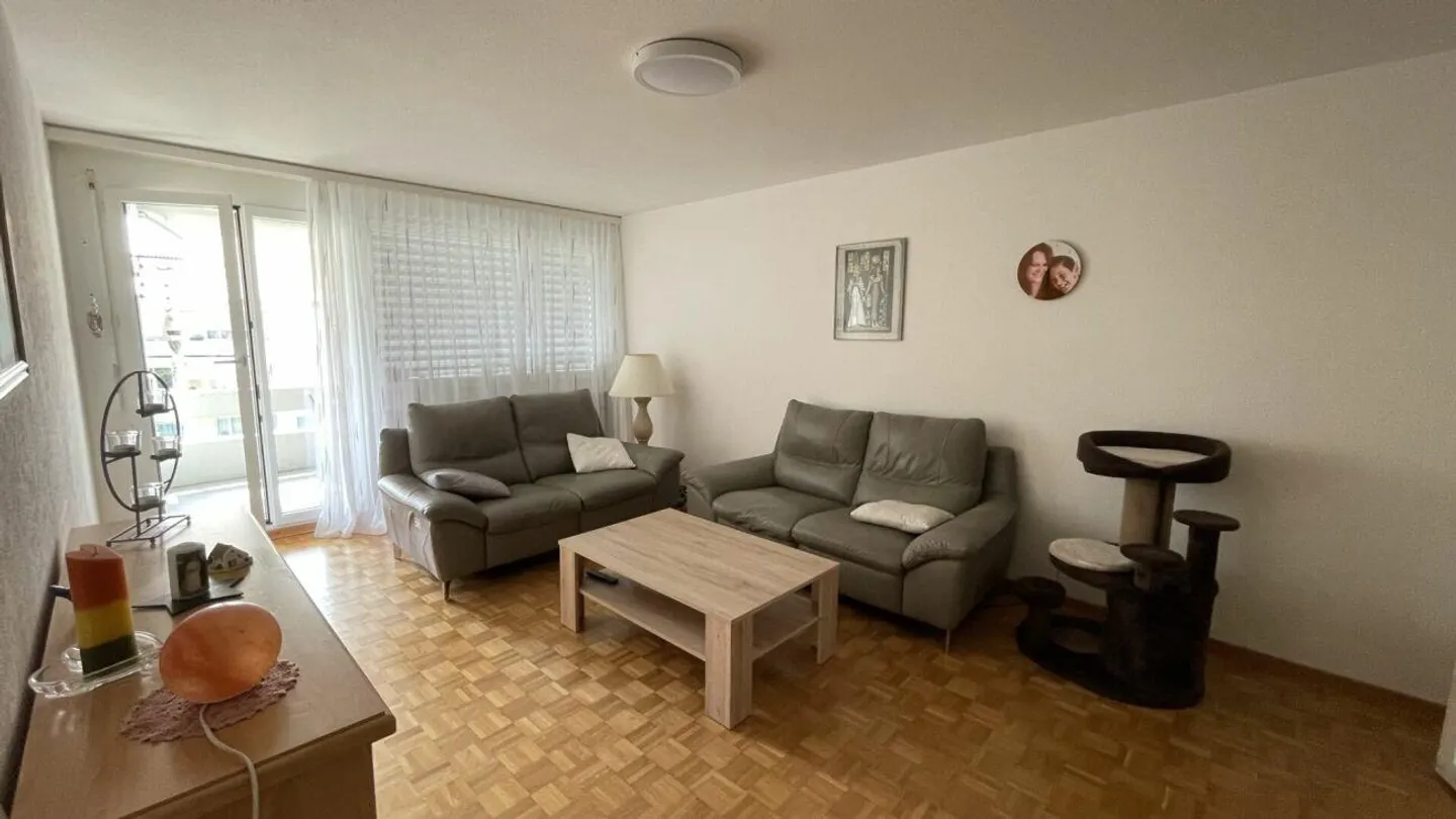 Spacious 3.5-Room Apartment - Photo 4 of 8