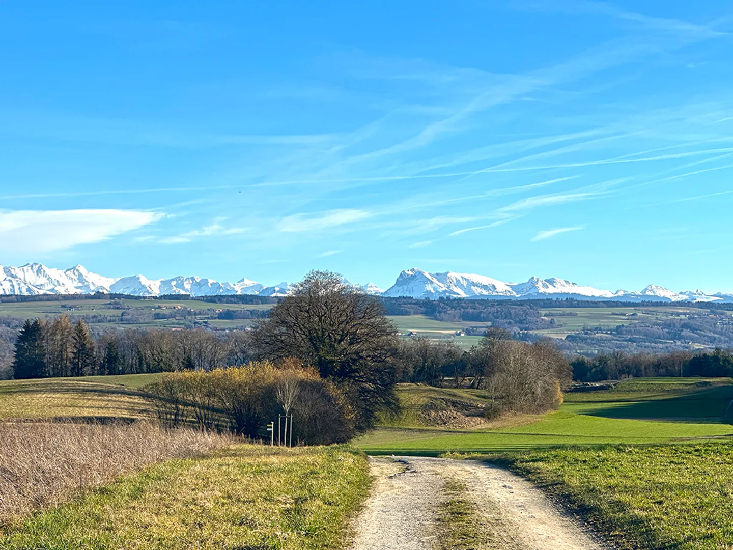 Immeuble résidentiel de caractère - Photo 3 sur 3