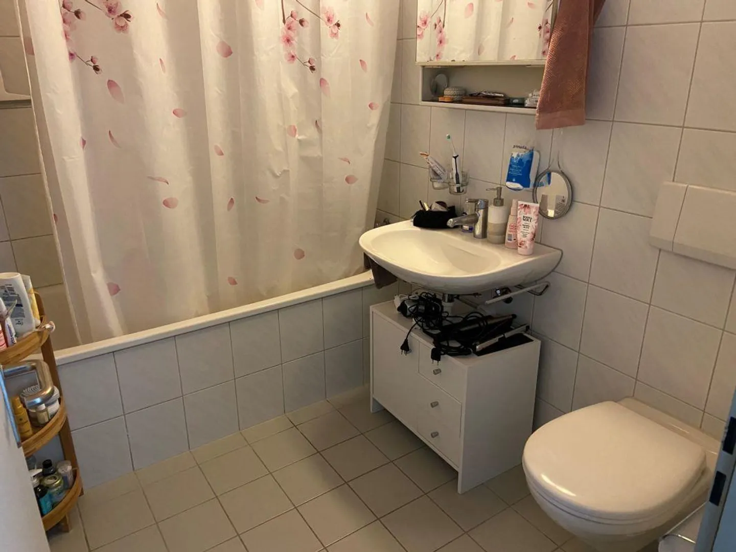 Cozy 1.5-Room Single Apartment in the Heart of Rapperswil - Photo 8 of 8