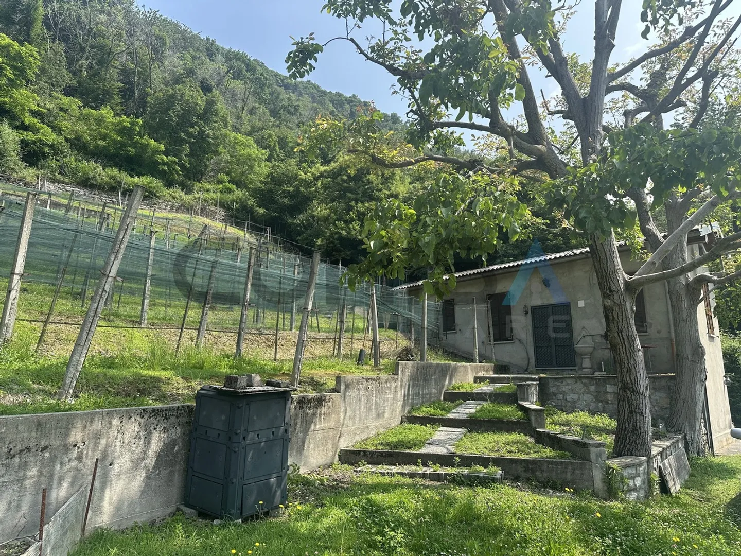 CASTEL SAN PIETRO - OBINO - Foto 3 von 3