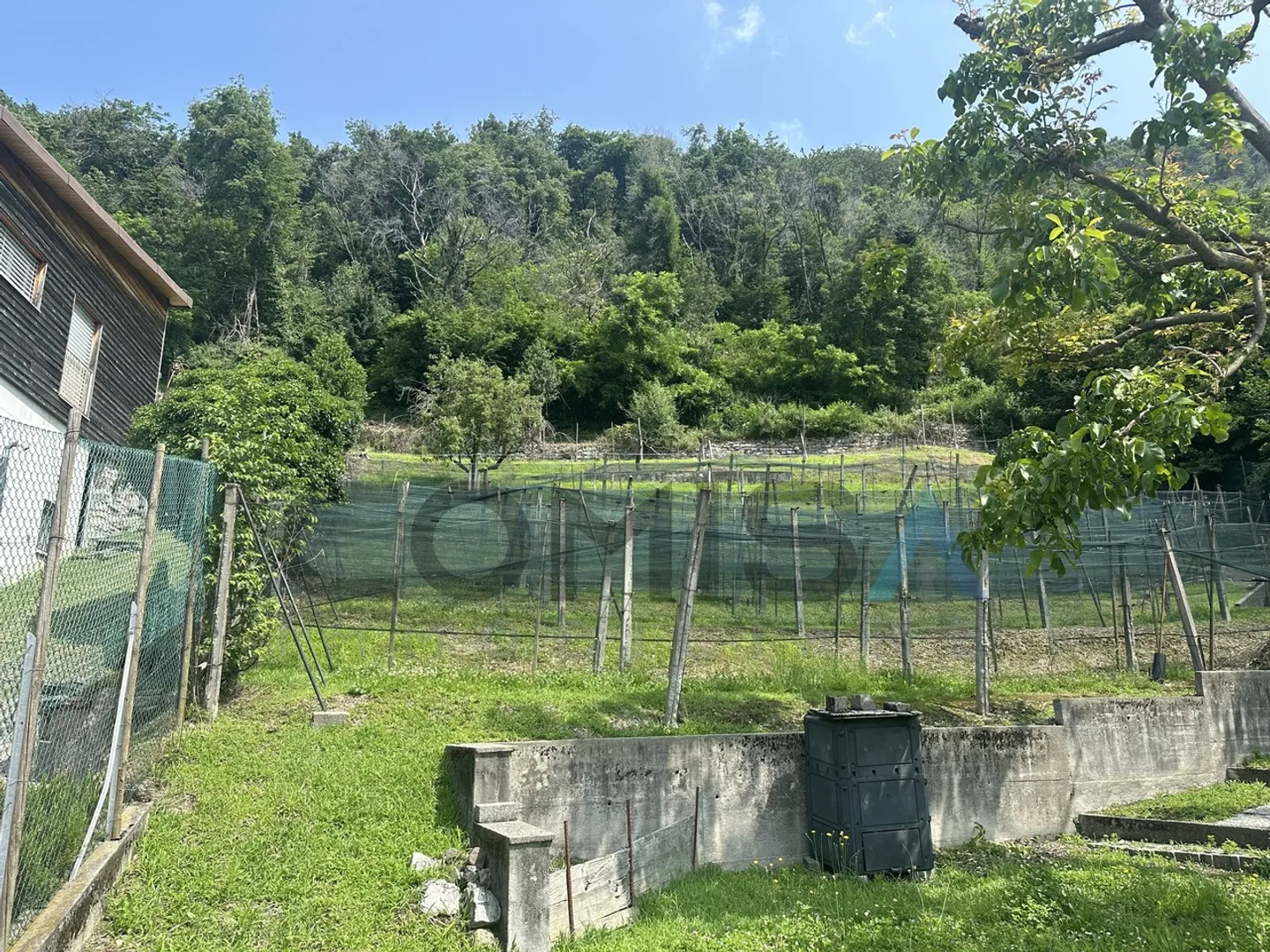 CASTEL SAN PIETRO - OBINO - Foto 2 von 3