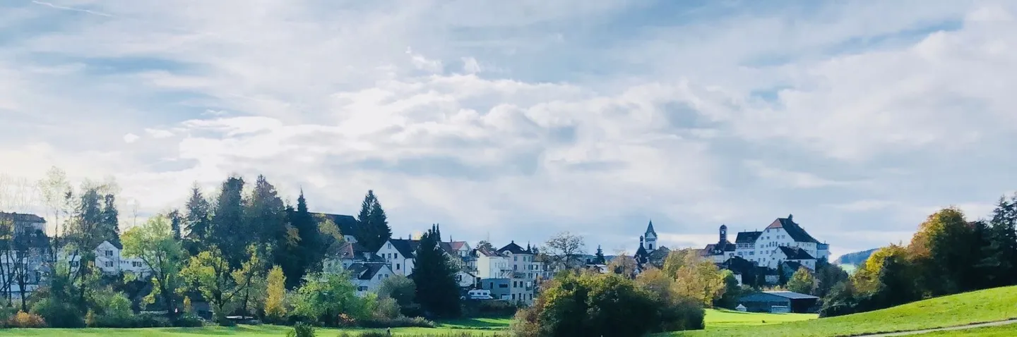 Modern 4.5-Room Apartment - Photo 11 of 11