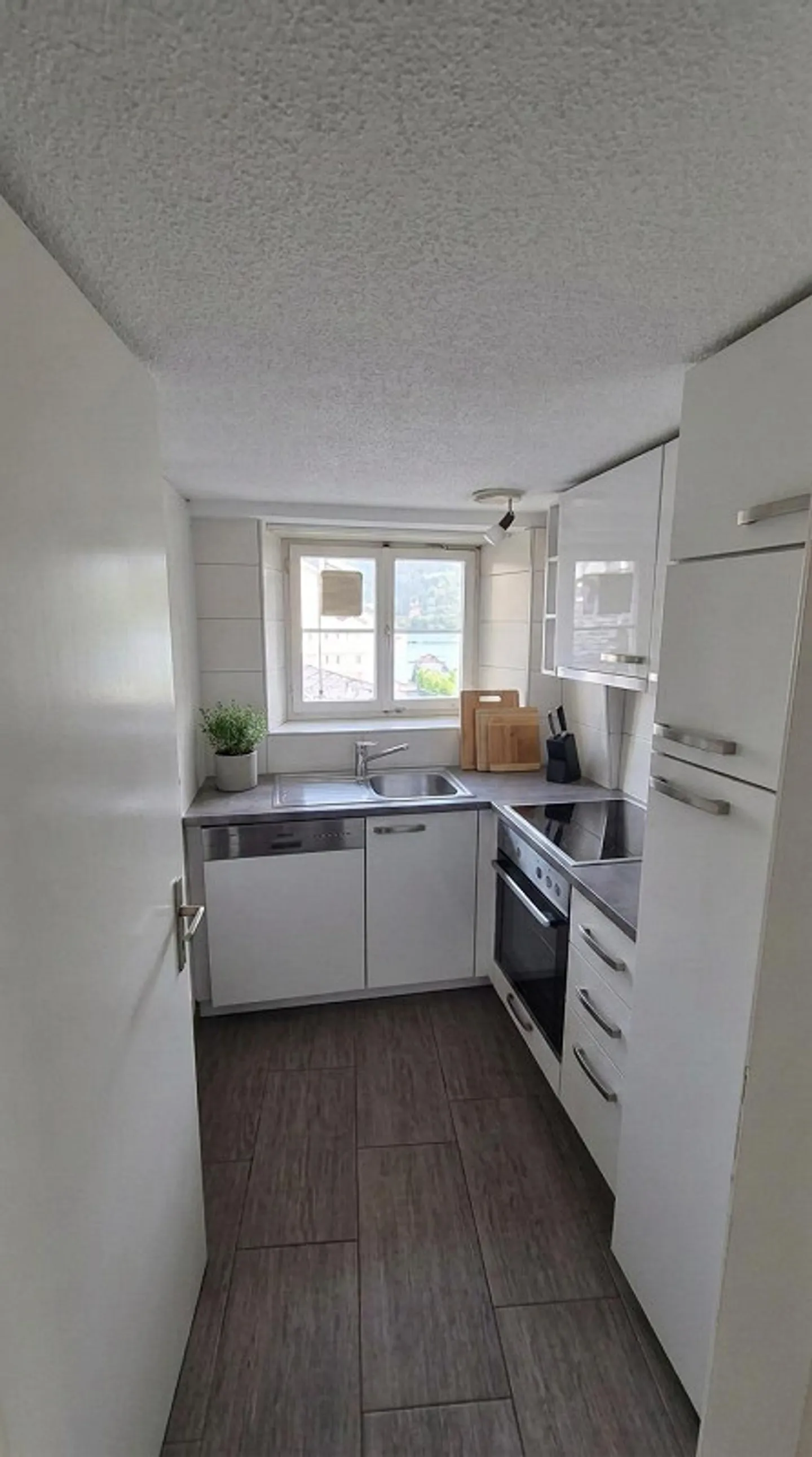 4-Room Apartment with Lake View - Photo 4 of 11