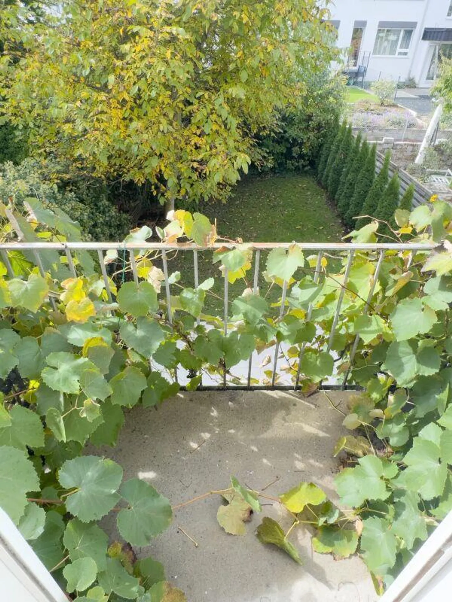 5.5-room terraced house with idyllic garden and sunny balcony - Photo 19 of 30