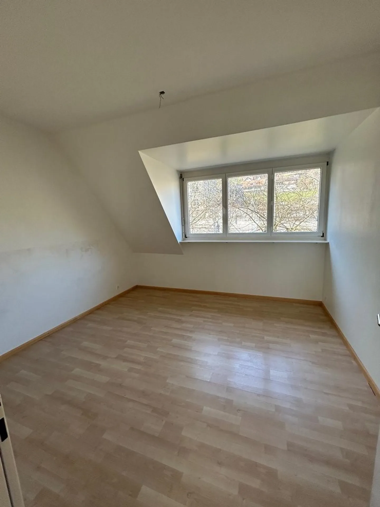 Vivere a contatto con la natura con alta qualità della vita - Foto 6 di 12