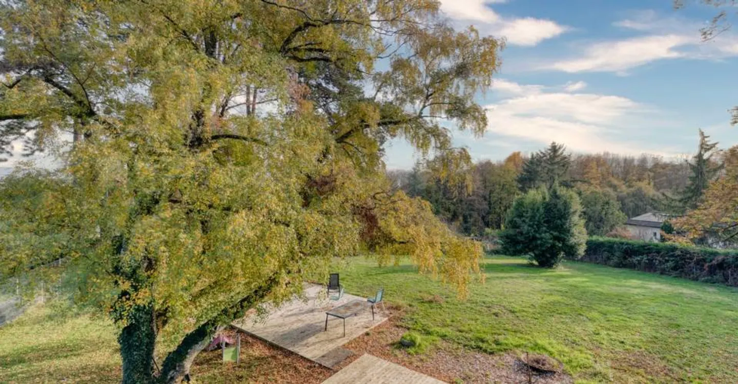 Chalet Charmant dans un Parc - Photo 11 sur 12