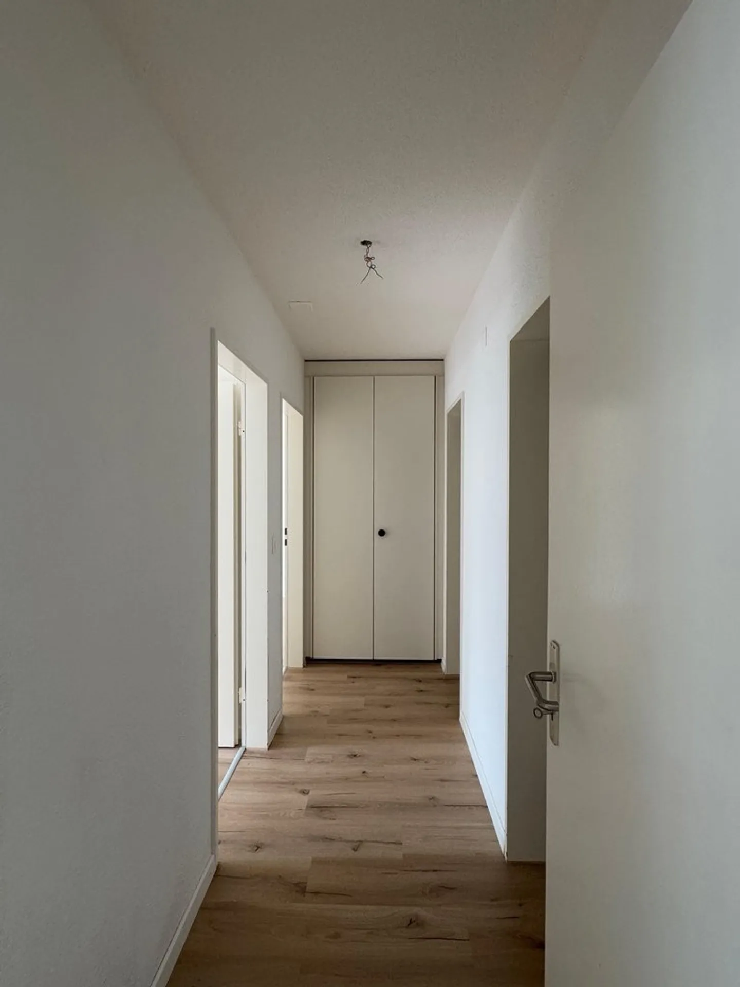 Appartement de 4,5 pièces à louer à partir du 01.02.2026 à Orpund ! - Photo 3 sur 7