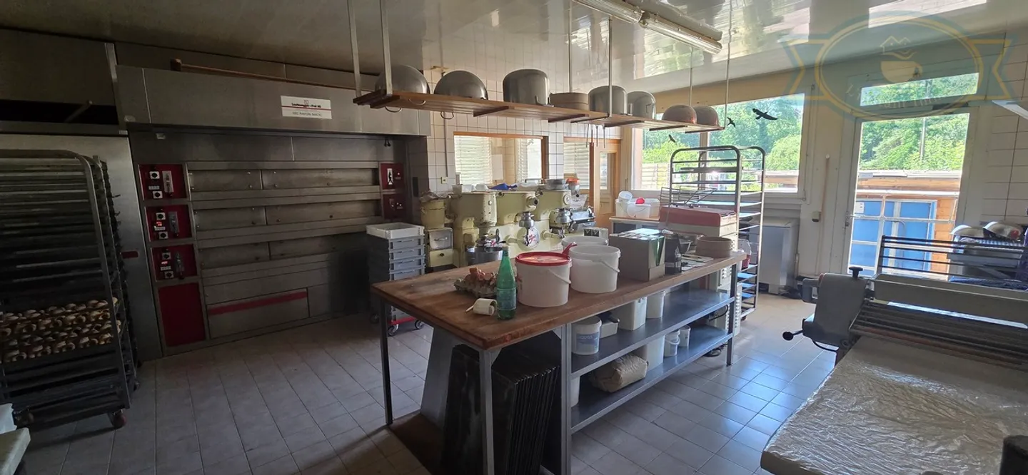 Building with a large apartment, laboratory, and housing - Photo 13 of 17