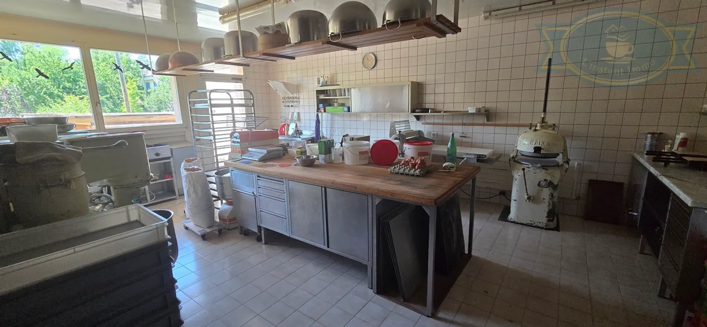 Building with a large apartment, laboratory, and housing - Photo 14 of 17