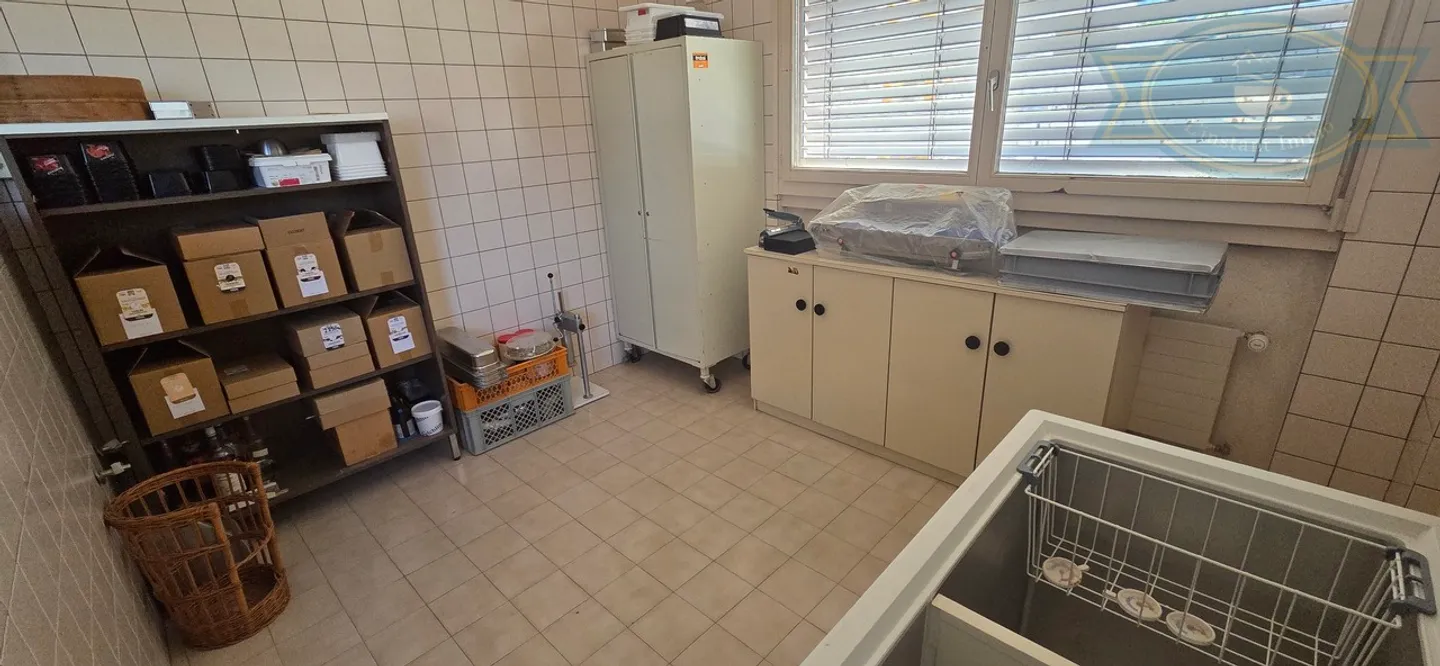 Building with a large apartment, laboratory, and housing - Photo 15 of 17