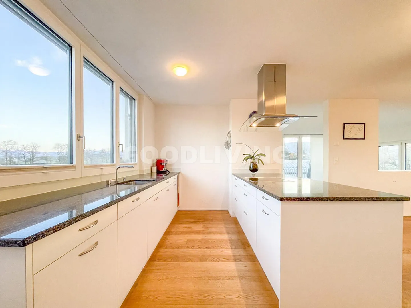 Vie en Attique avec Vue - près de Bâle - Photo 2 sur 18