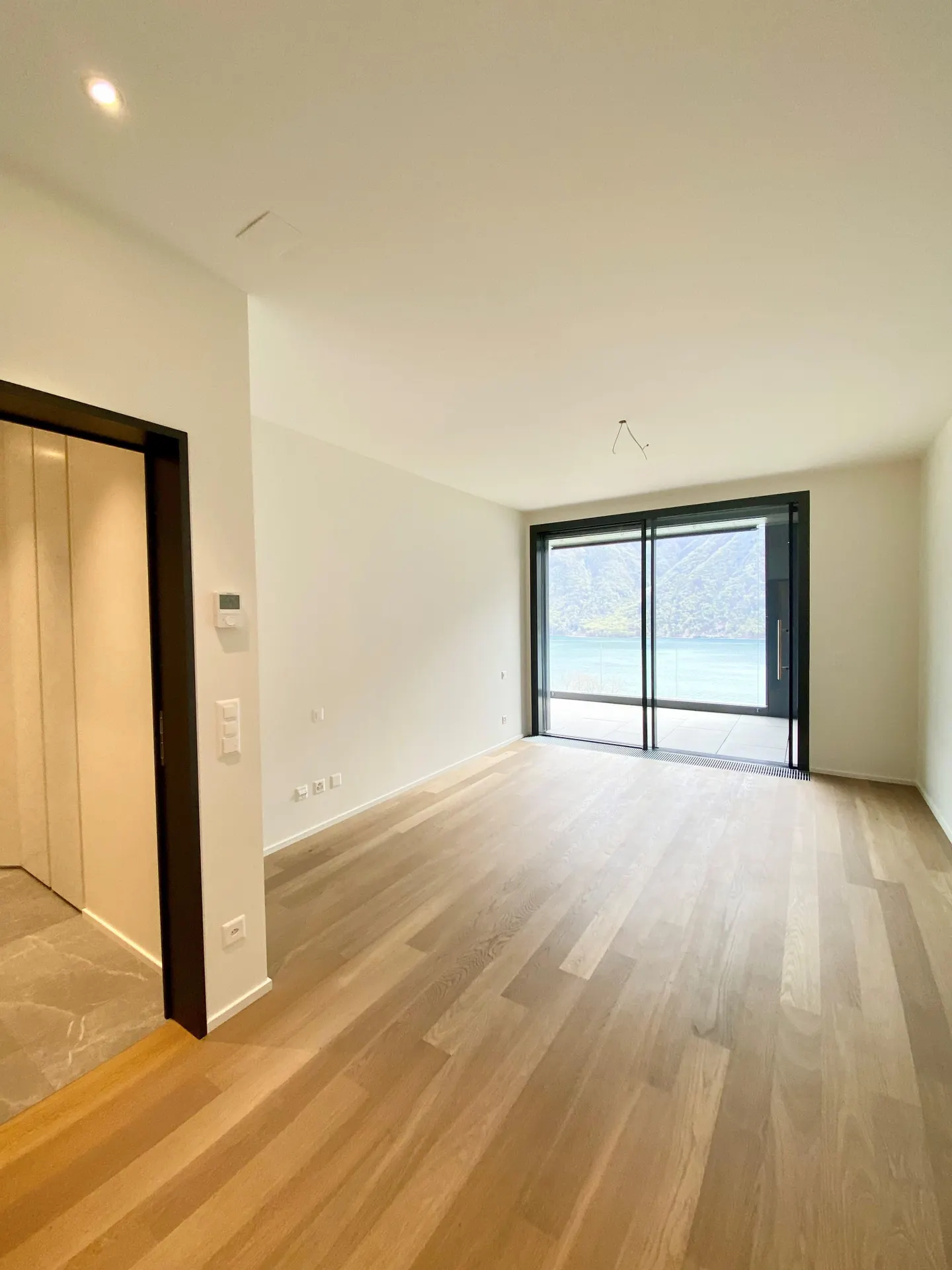 Luxury Penthouse Castagnola - Photo 7 of 9