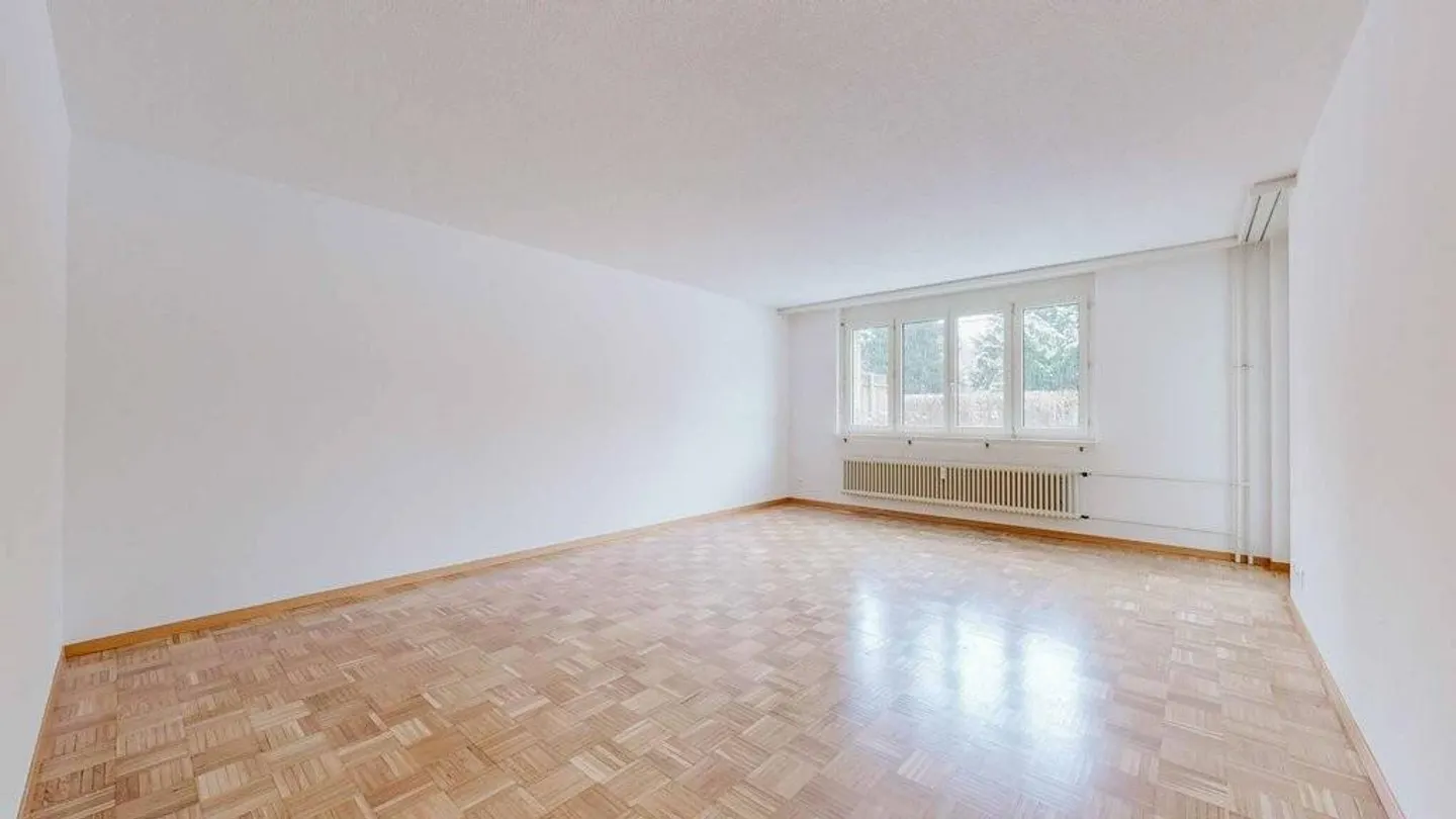 Your newly renovated apartment with terrace - Photo 4 of 8