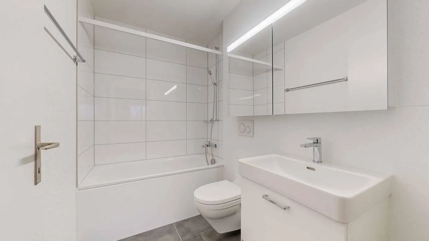 Your newly renovated apartment with terrace - Photo 7 of 8
