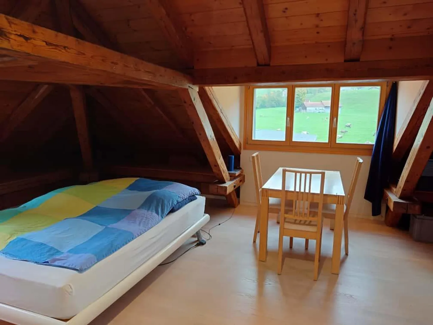 Charmante appartement sous les toits de 1 chambre à Appenzell - Photo 3 sur 10