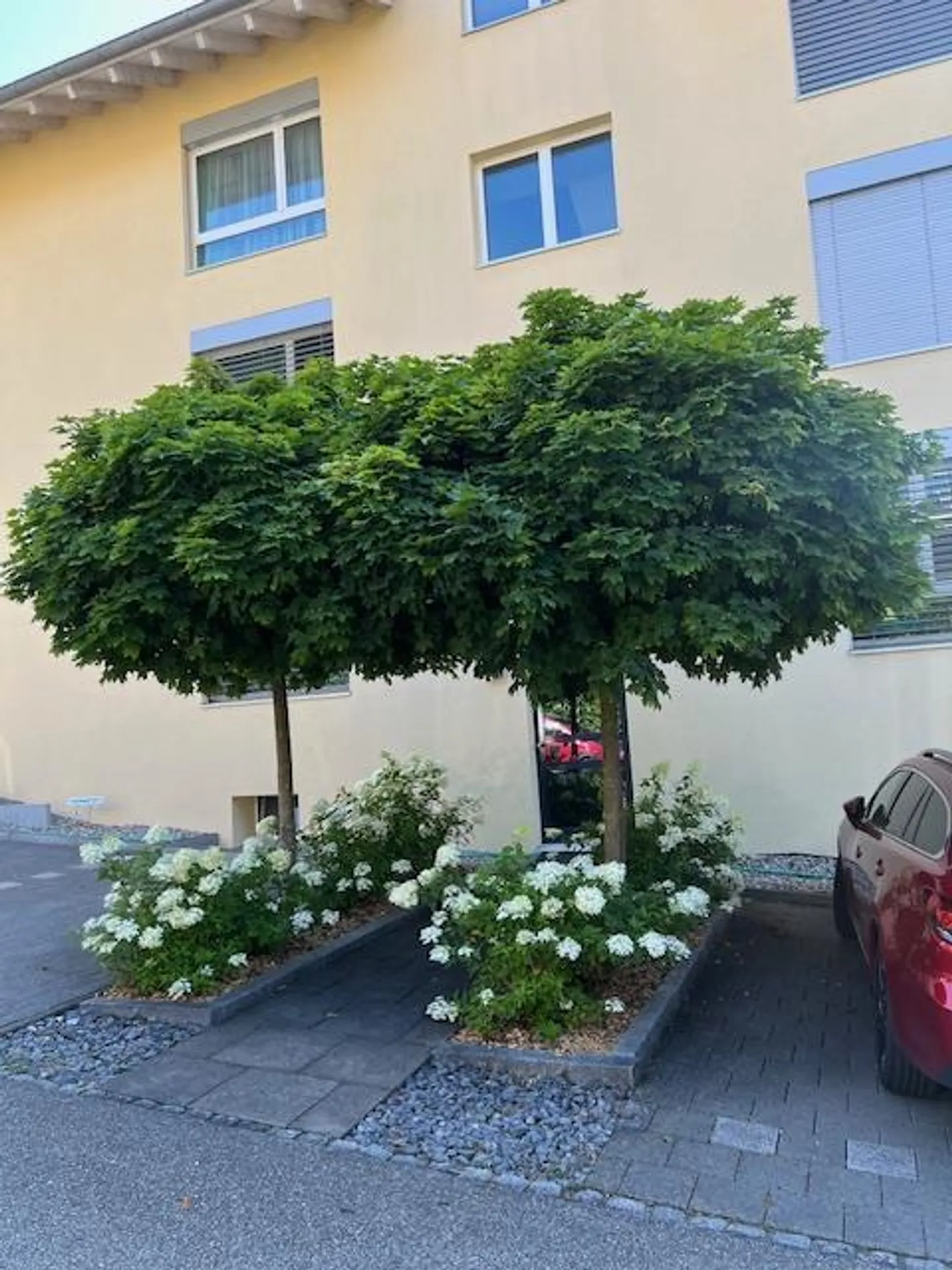 Risveglio primaverile - Pensionamento - o Ufficio a casa nel Canton Berna - Foto 17 di 20