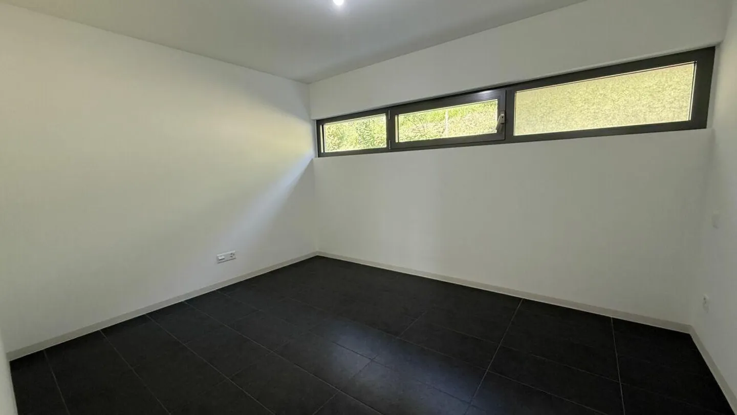 Splendid 4.5-room apartment + studio in Contra - Photo 17 of 20