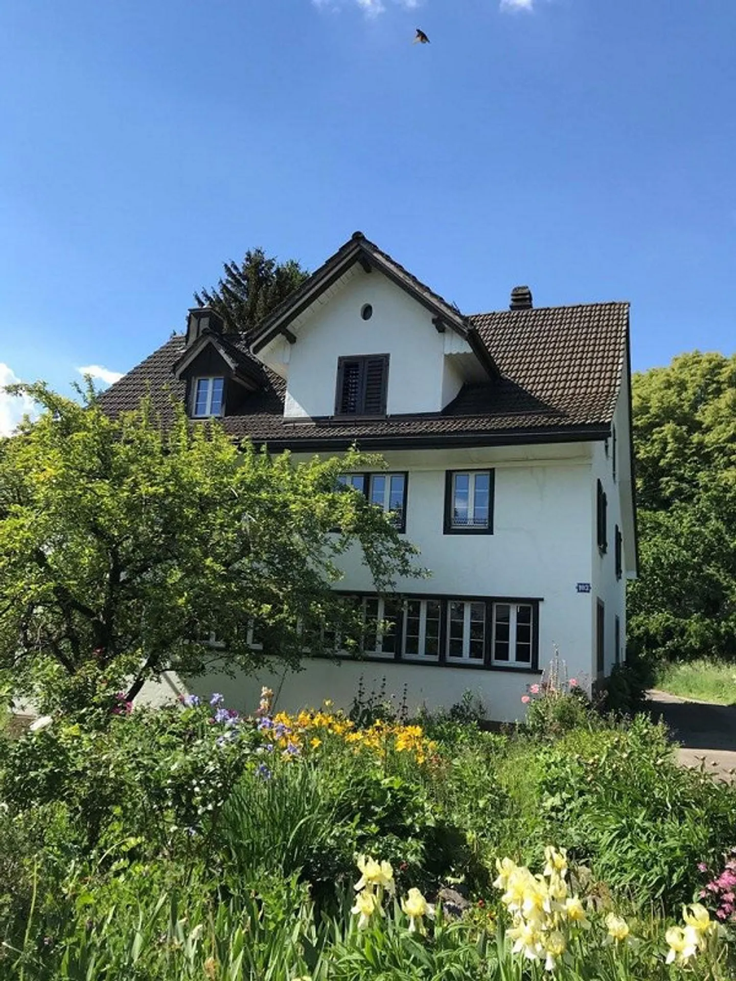 Befristetes Einfamilienhaus mit grossem Garten, Ideal für Familien - Photo 2 sur 12