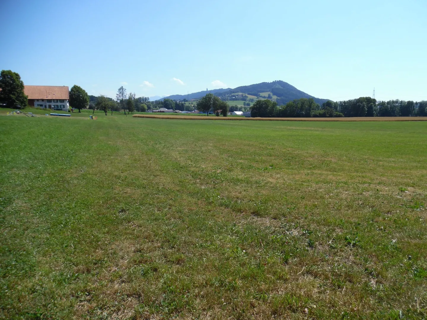 Commercial Land Near Palézieux - Photo 1 of 1