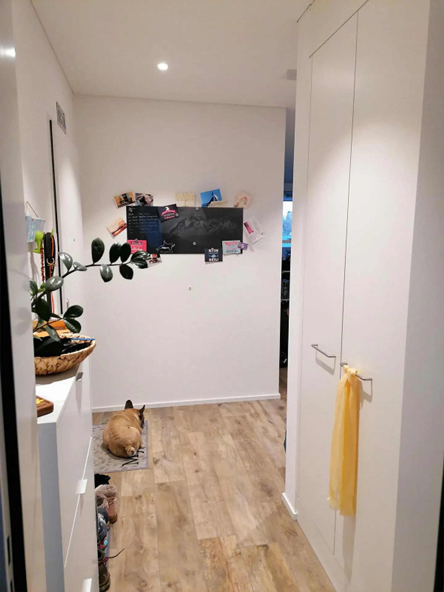 Beautiful modern apartment - Photo 9 of 13