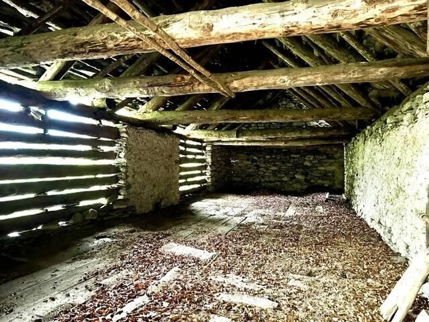 Rustic to be renovated in a very quiet, sunny location - Photo 2 of 13