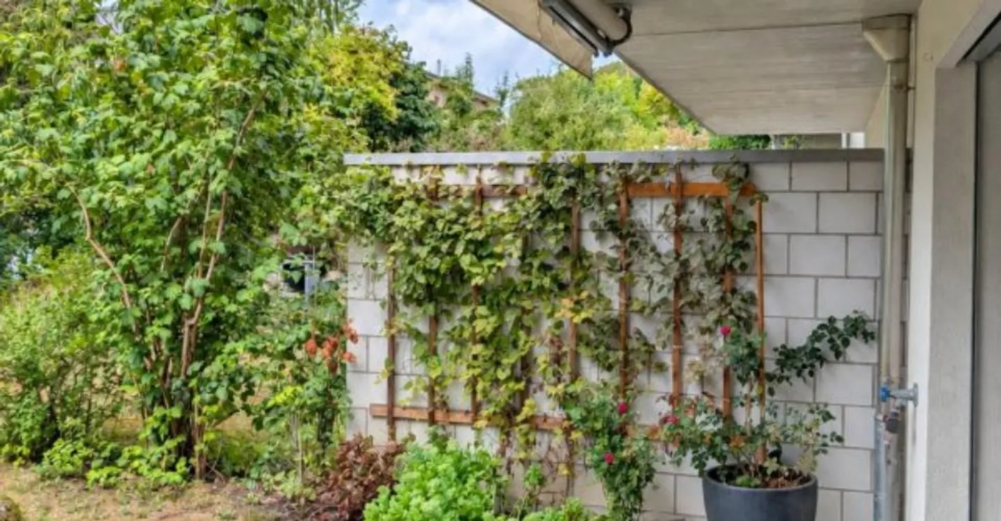 00421 - Appartamento con giardino privato - Lore-Sandoz 12 - Bienne(BE) - Foto 2 di 7