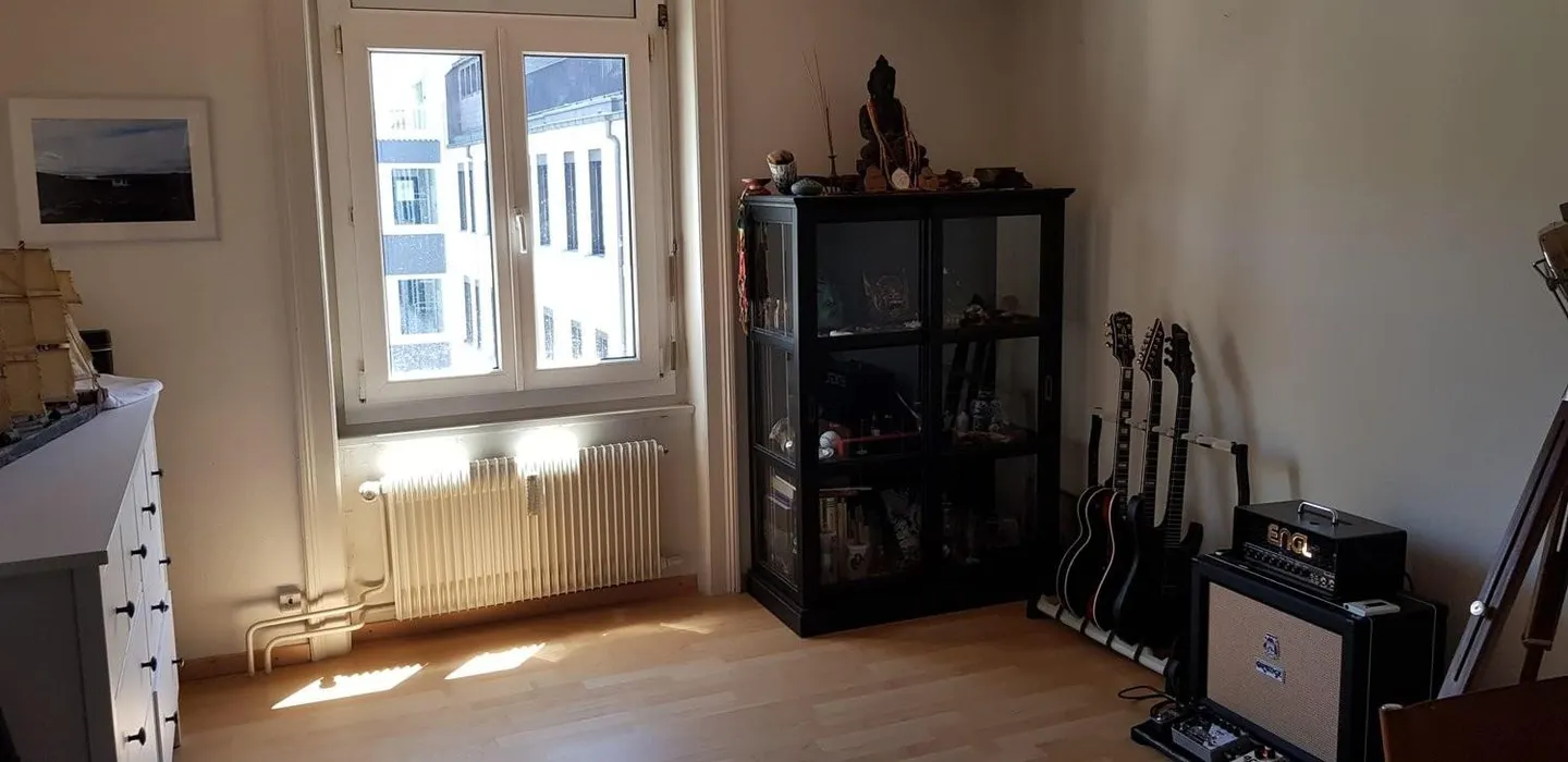 Vivere nel cuore di Neustadt Lucerna - Ideale per i pendolari - Foto 5 di 8