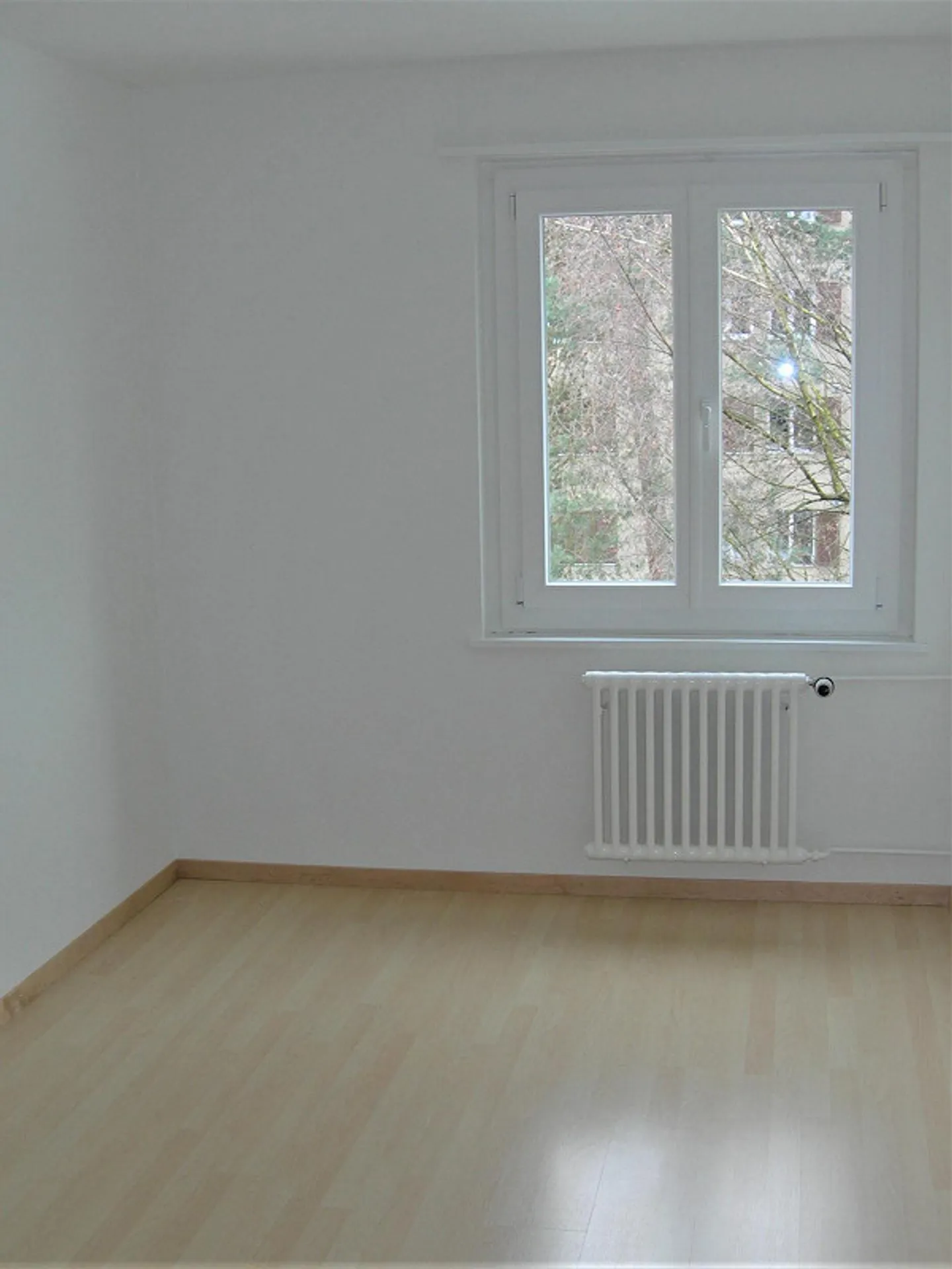 Central and Affordable - Your New Home - Photo 7 of 8