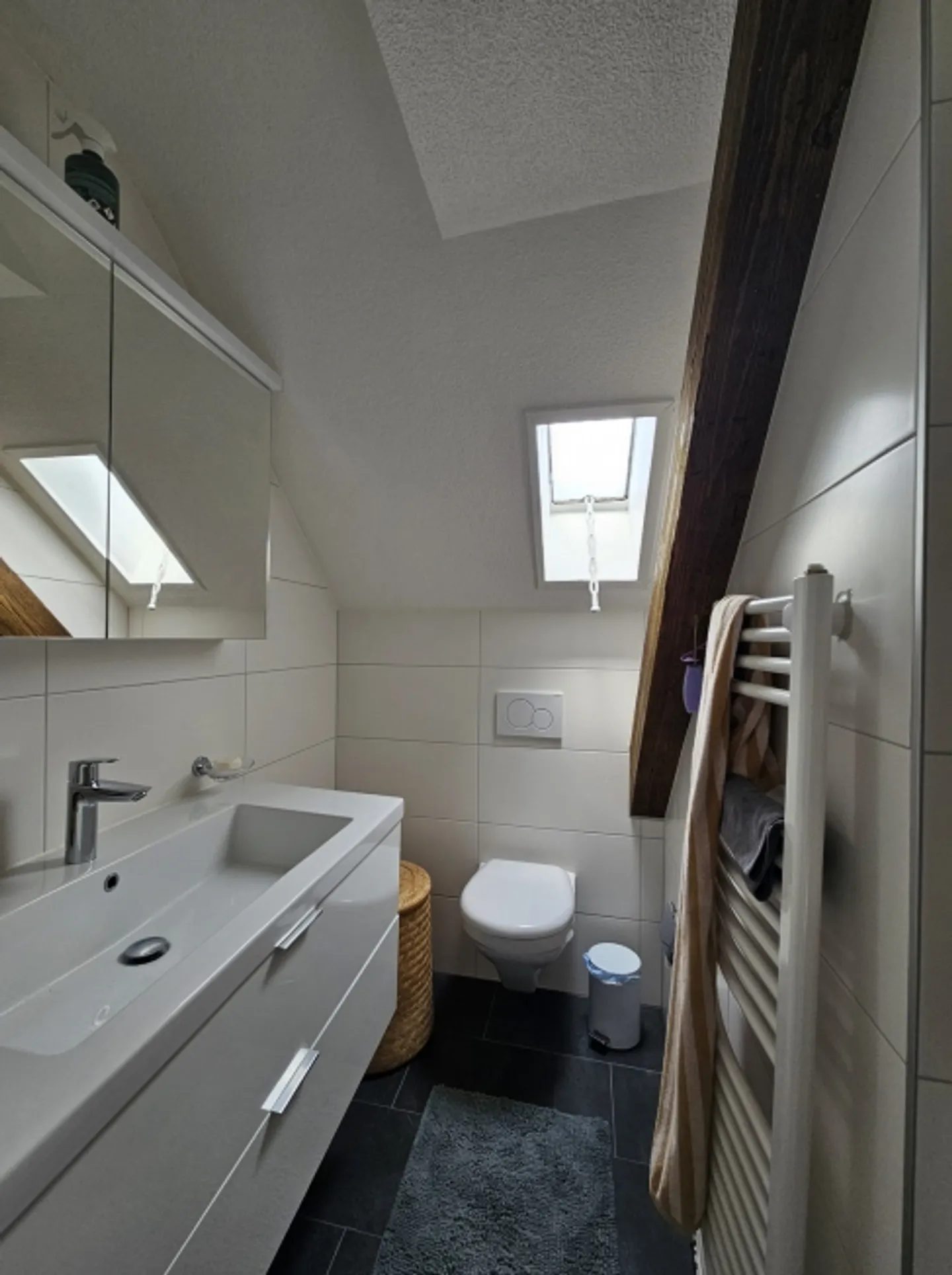 Appartement 3 pièces à Lenzburg (AG), meublé, temporaire - Photo 5 sur 9