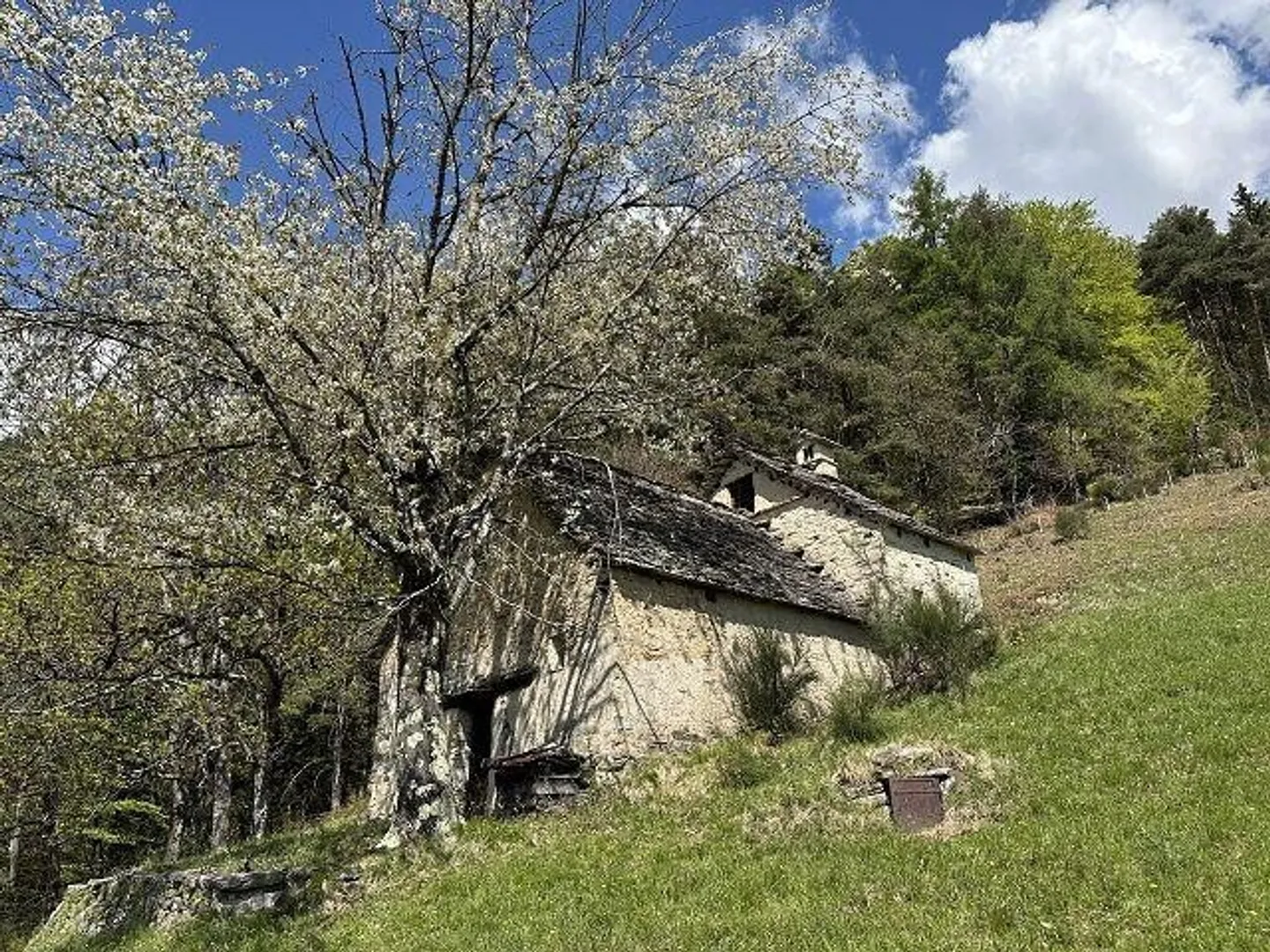 Maison rustique de 4 pièces à rénover avec beaucoup d'espace extérieur dans un emplacement isolé, très ensoleillé, calme avec vue panoramique - Photo 1 sur 13
