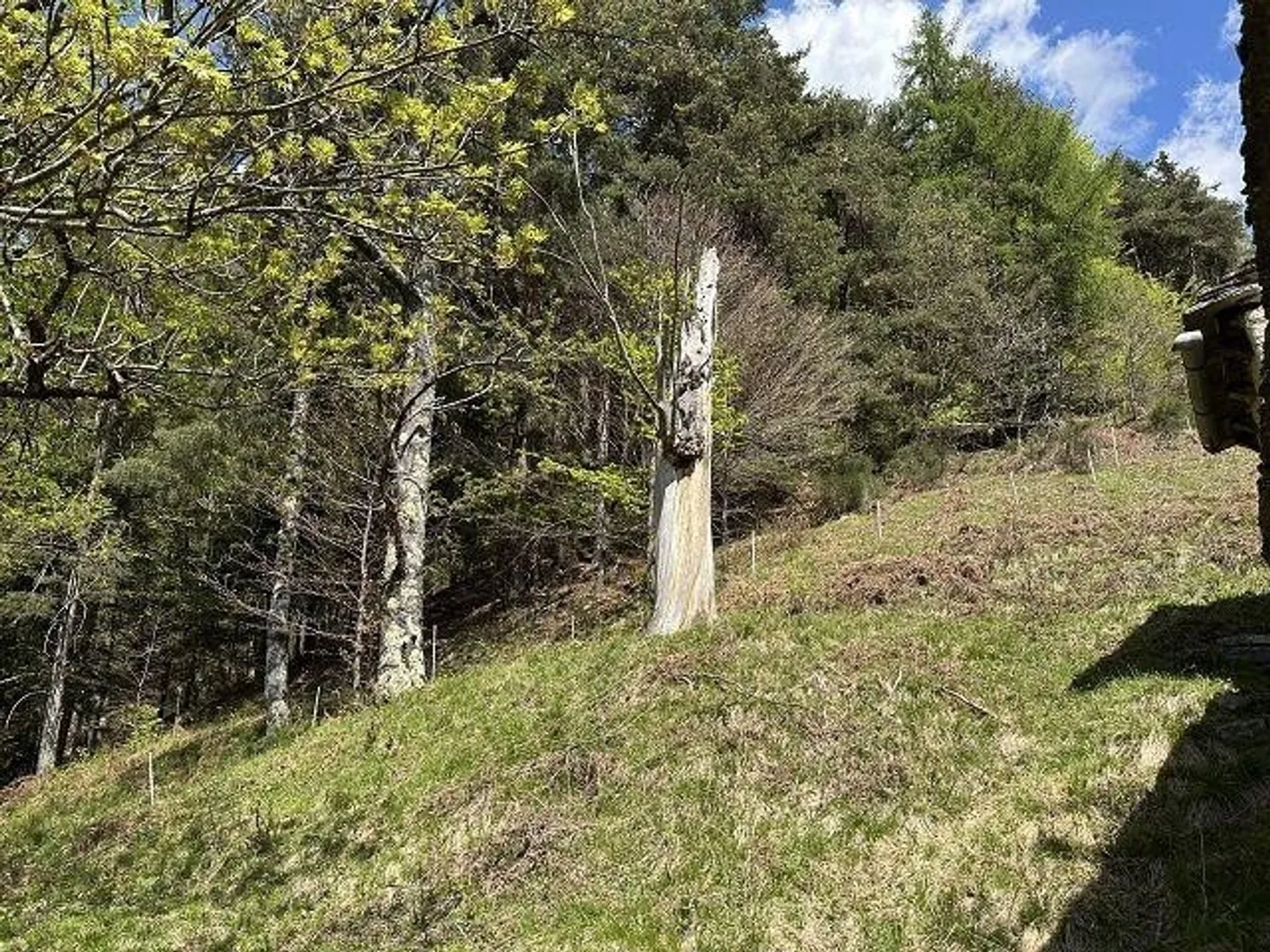 Maison rustique de 4 pièces à rénover avec beaucoup d'espace extérieur dans un emplacement isolé, très ensoleillé, calme avec vue panoramique - Photo 8 sur 13